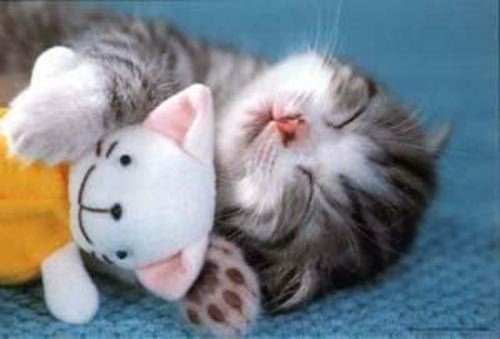 gambar lucu gambar lucu
